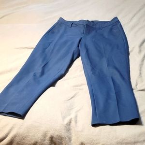 Liverpool Navy Blue Dress Pants